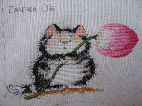 2 этап - Санечка. Котики для Aishik