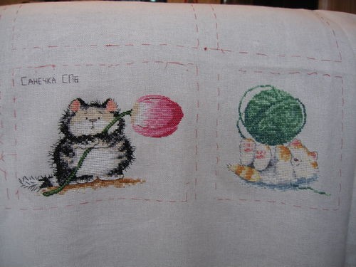 Котики для Aishik