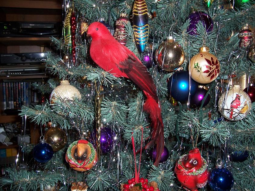 Елка и мои птички