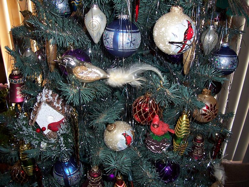 Елка и мои птички