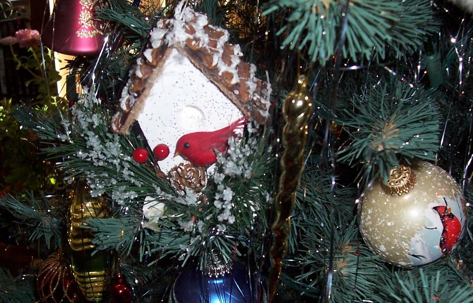 Елка и мои птички