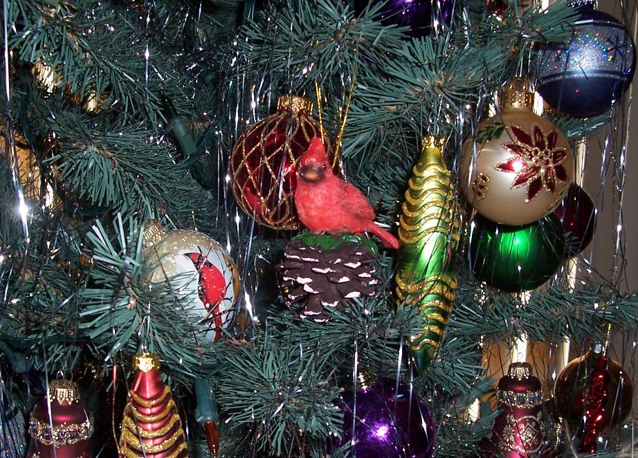 Елка и мои птички