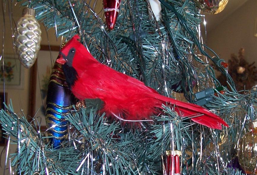 Елка и мои птички