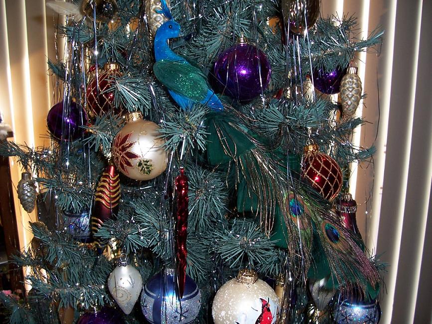 Елка и мои птички