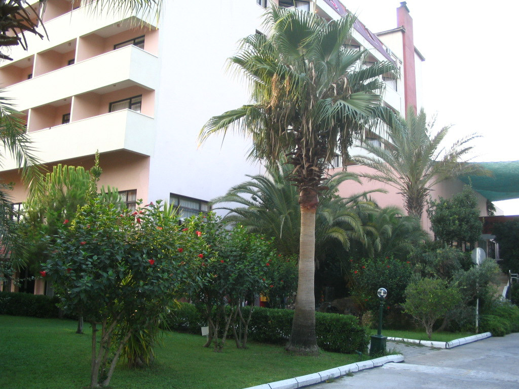 Sural Garden, Side, Turkey, august 2006