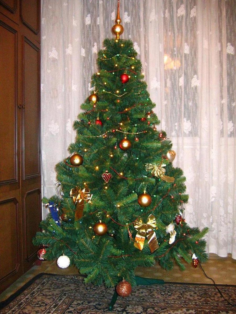 Елка 2005-2006. Елки