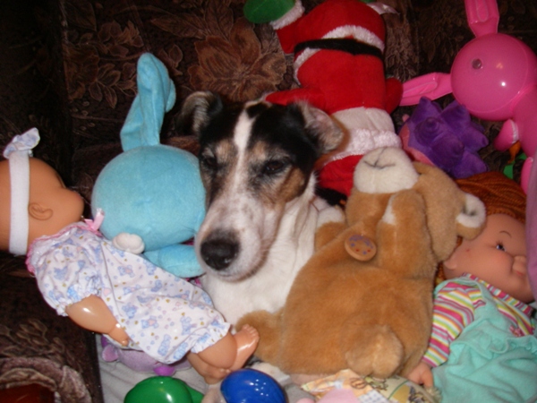 Новая папка