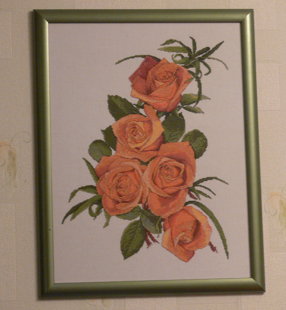 Розы Silver Lining. 