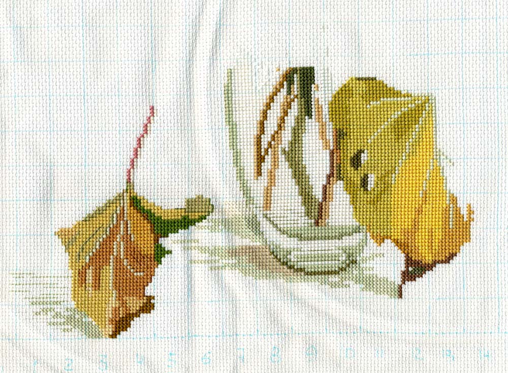 Еще немного. 10 - 'Дикий Виноград' Fujico Collection 601