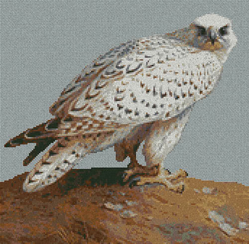 AE-#70-PDF(Acrobat). American Eagle and Other...