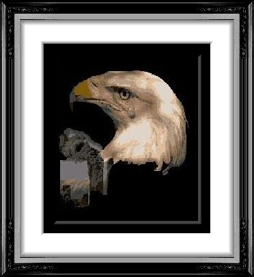 AE-#71. American Eagle and Other...