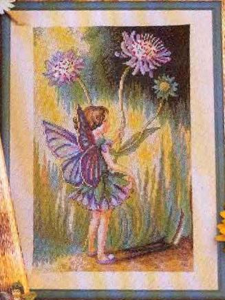 The Scabious Fairy. Журнал Cuadros