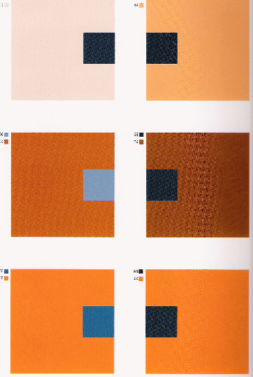 2.Динамический. Сочетание цветов