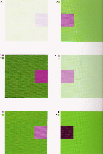 2.Тропический. Сочетание цветов