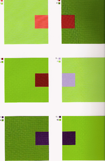 4.Тропический. Сочетание цветов