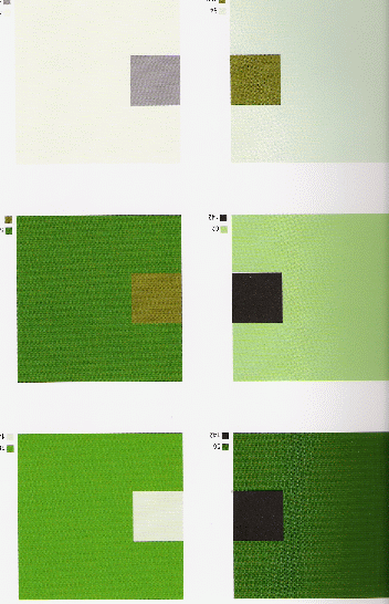 6.Тропический. Сочетание цветов