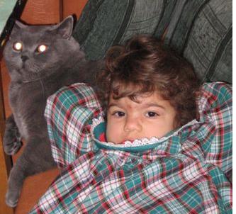 кот вместо подушки. просто так