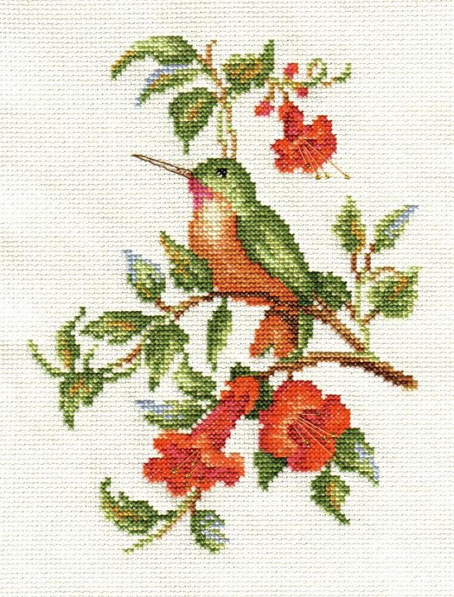 хаммингберд на розовых цветах. Мои работы