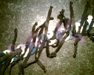 браслет. Авторские работы из кожи