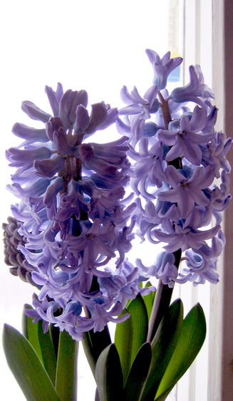 ЛУ!!! С Днём Рождения!!!. 4  Поздравления и подарки!