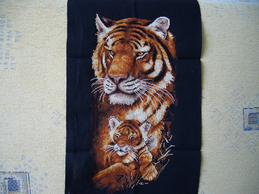 ЗР  Тигрица. 