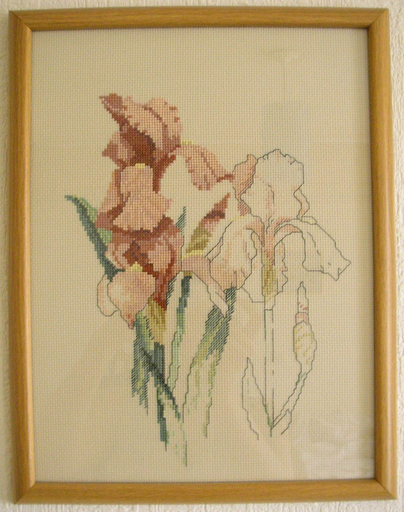 Ирисы. Мои работы