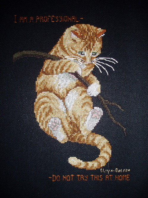 Котик для Иры (Shonya). Мои Робины (Робин межконтинентальный!!!готовые вышивки.