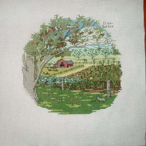 Лето для Snoosmoomrik (Марианны). Мои Робины (Робин межконтинентальный!!!готовые вышивки.