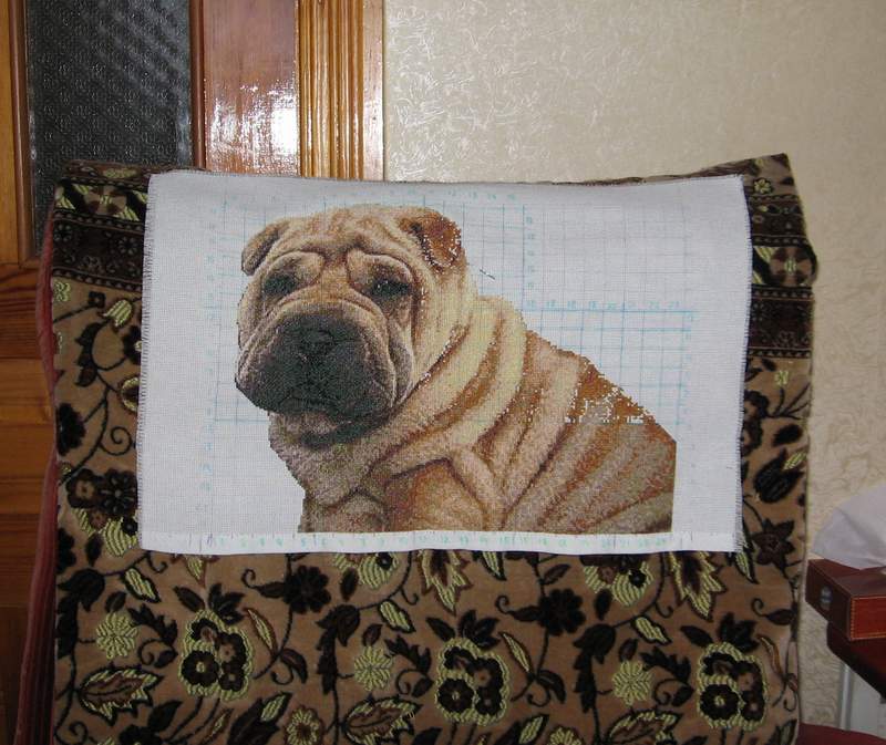 Artecy - Шарпей