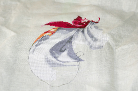 MD40 - Ashley's Roses 