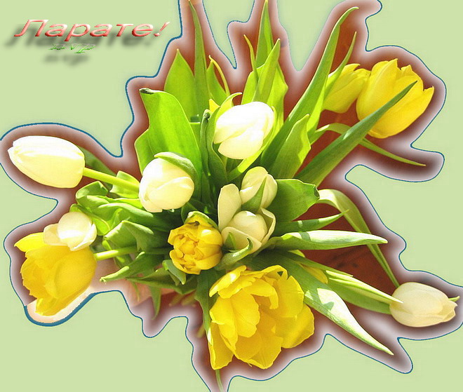 Ларате!. 4  Поздравления и подарки!