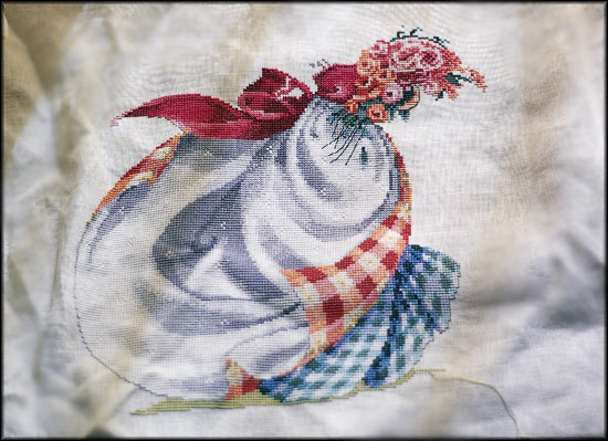 MD40 - Ashley's Roses 