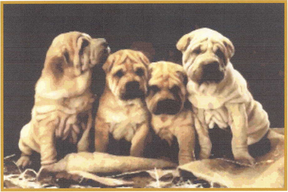 Gunther's gang. Mystic stitch (i have)