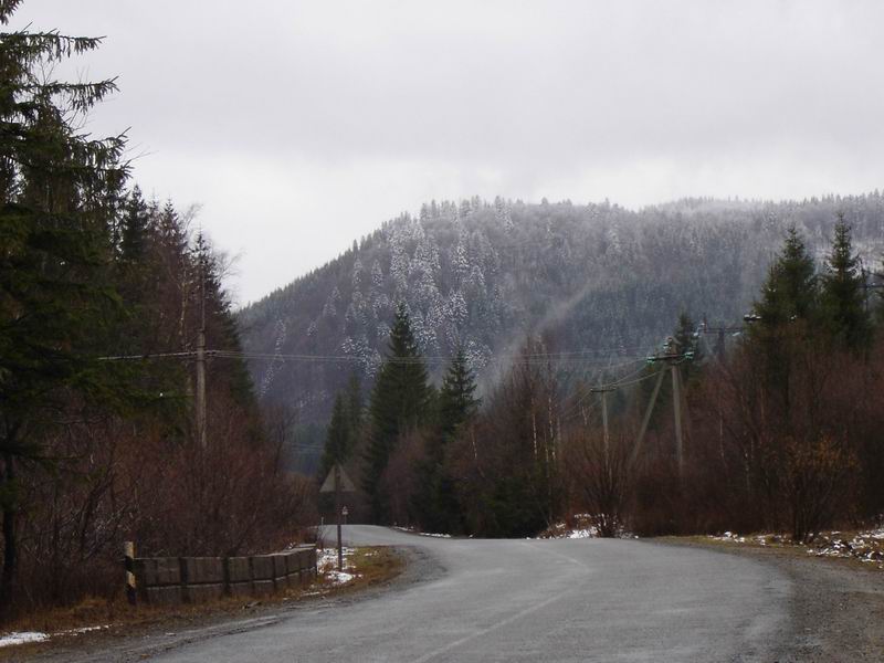 Карпаты - 2006