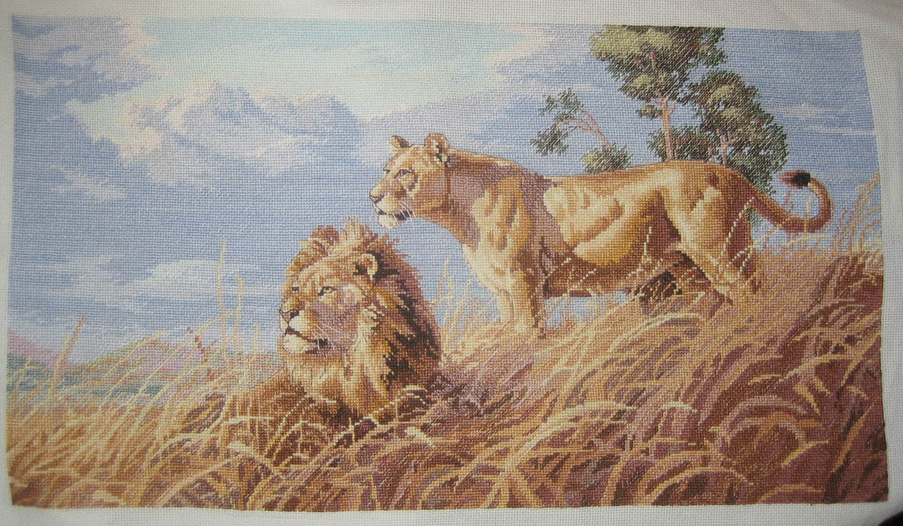 Встреча 29.04.2006.