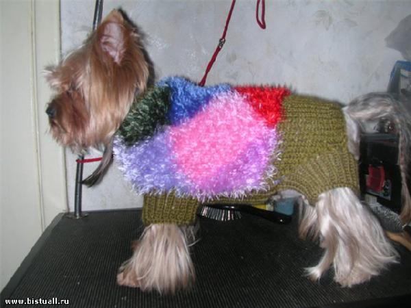 Разноцветный комбез. Одежки