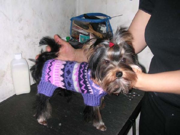 еще комбез. Одежки