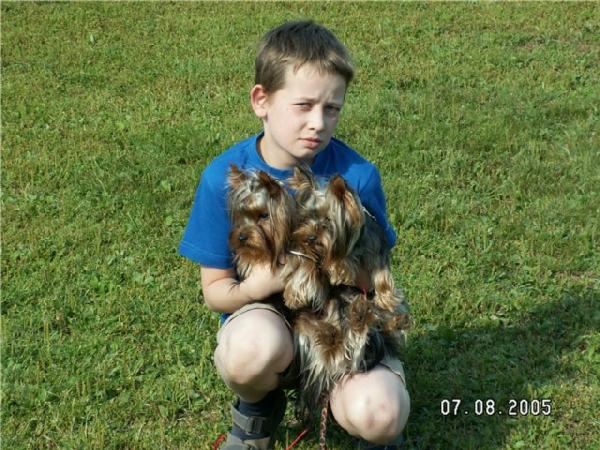 На руках у Женьки. Вот такой у нас 'братик'!. Мои собаньки