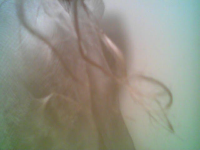 такие кисточки на кончиках. Брюки, юбки, капри, шорты, платья, костюмы