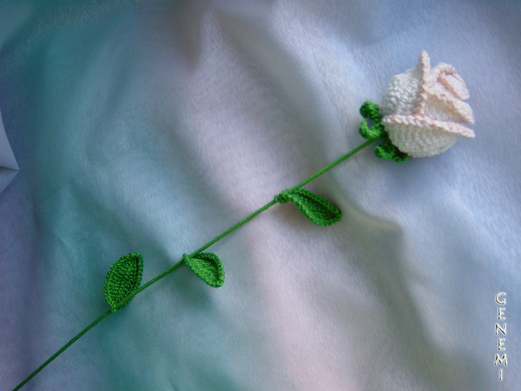 Хвасты не одежда