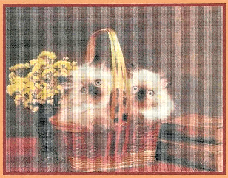 purfect pair. Mystic stitch (i have)