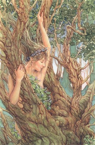 woodland nymph. Mystic stitch (i have)