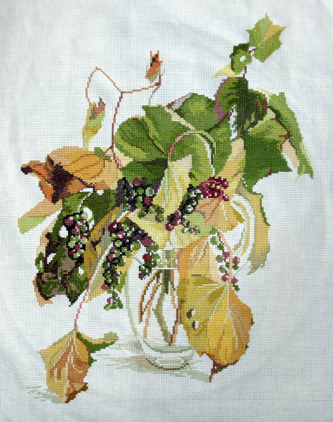 Дикий Виноград. 10 - 'Дикий Виноград' Fujico Collection 601