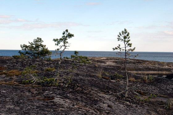 Роханиеми. Ладога 2006