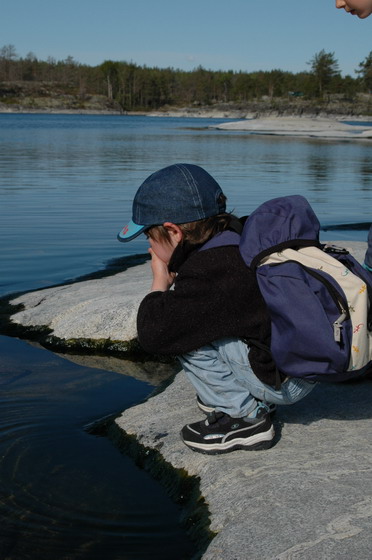 солнце, камни, Ладога.... Ладога 2006