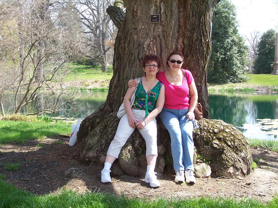 Cincinnati-Spring 2006