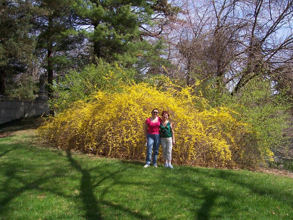 Cincinnati-Spring 2006