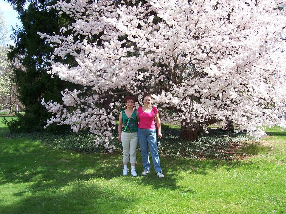 Cincinnati-Spring 2006