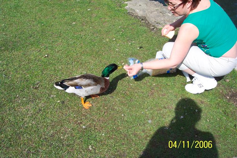 Cincinnati-Spring 2006