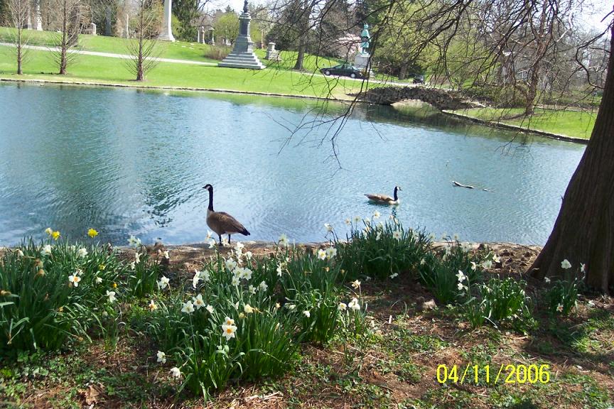 Cincinnati-Spring 2006